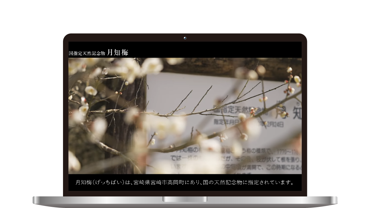 映像制作（撮影＋編集）